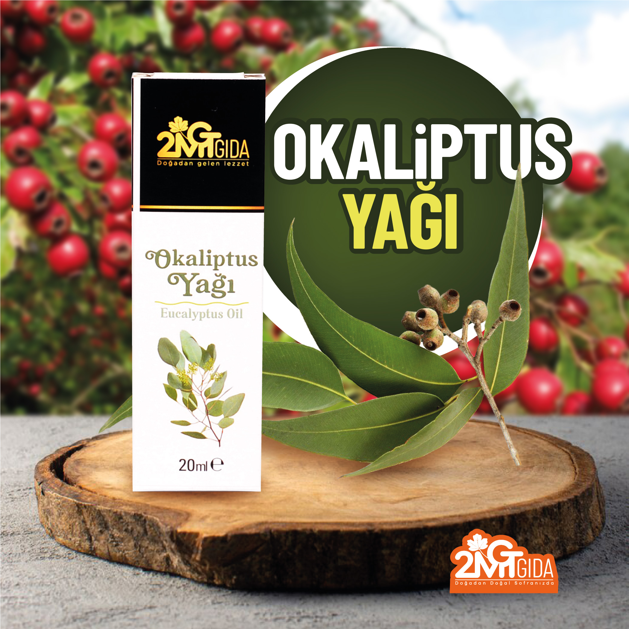 Okaliptus Yağı 